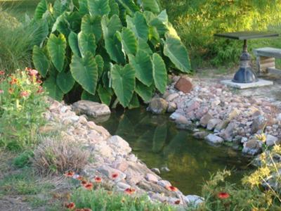 Messina Hof Winery And Resort (Adults Only) Bryan Exteriör bild